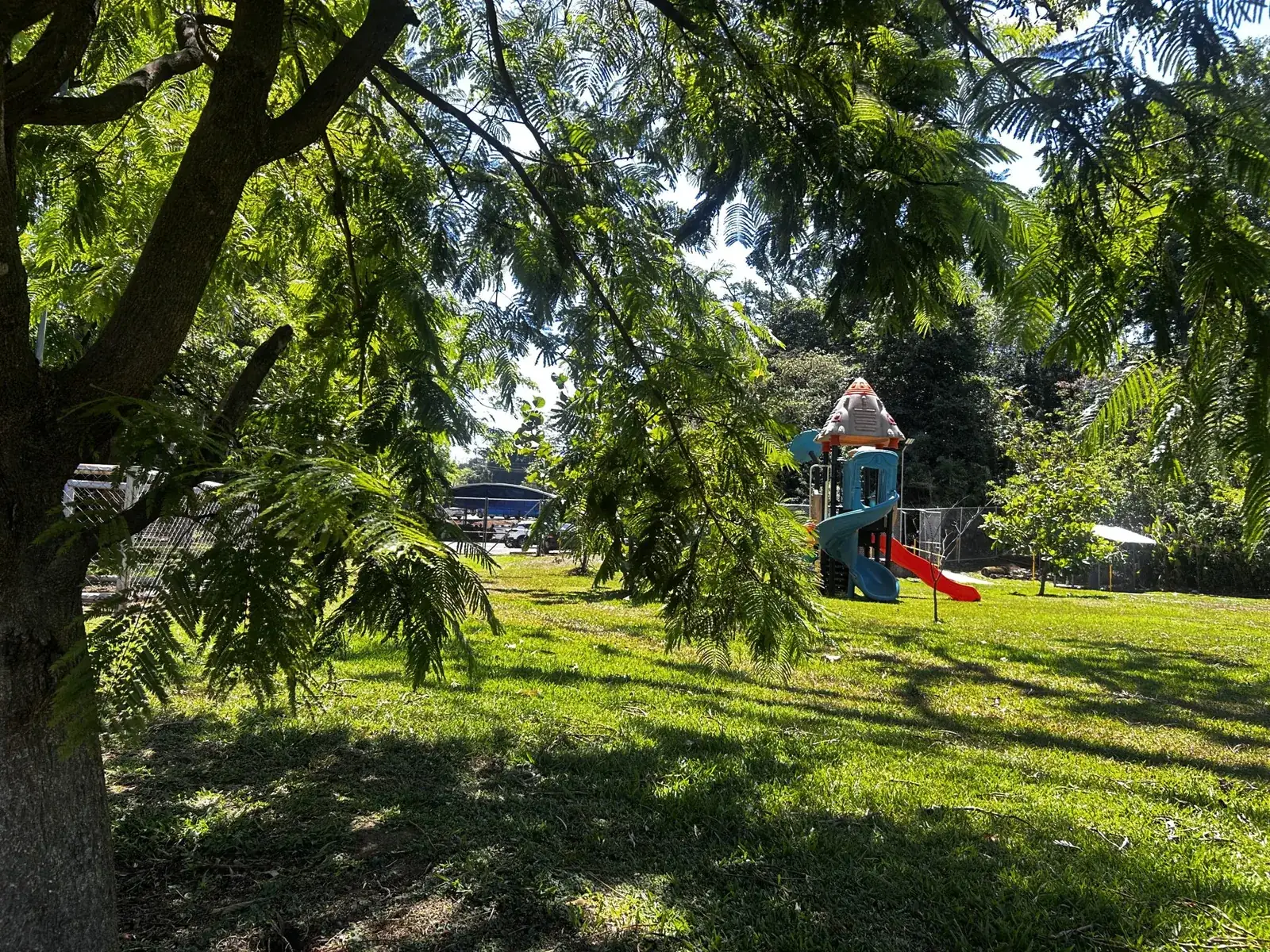 Big family back lawn under a tree with a children's play tower