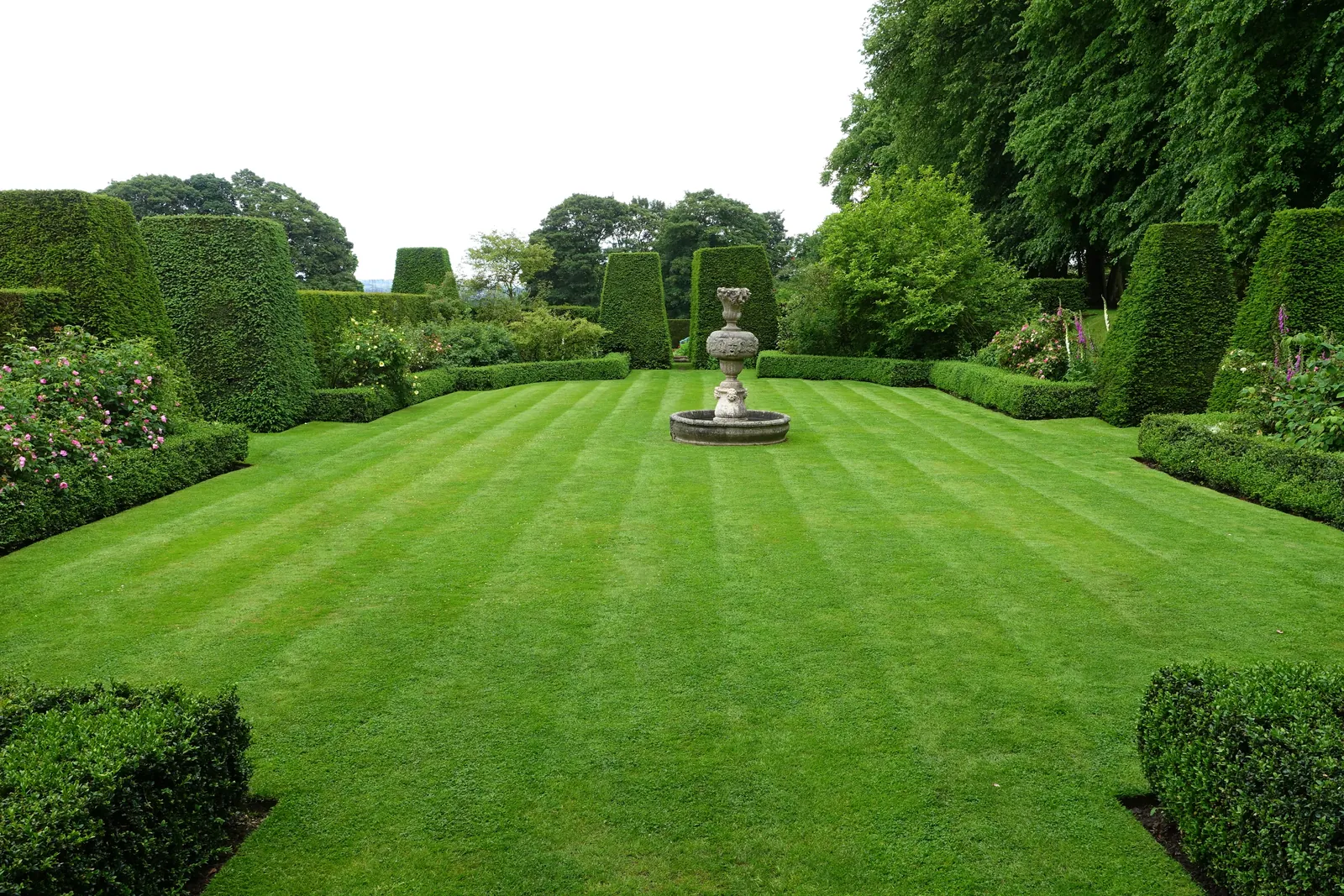Wide striped lawn edged by clipped hedges and borders