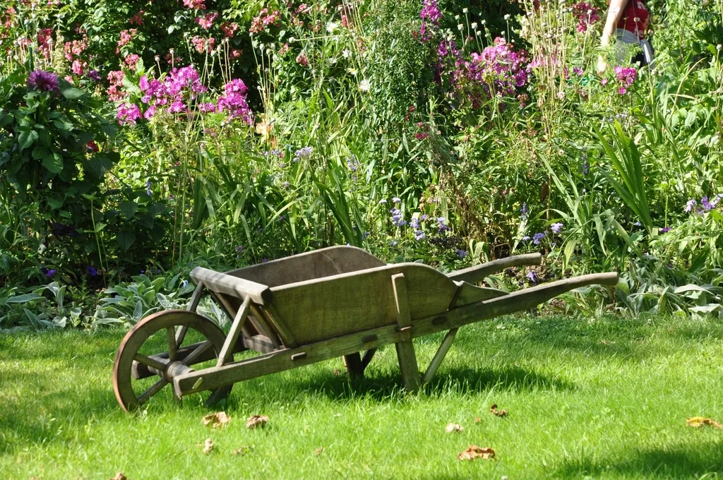 Old wheelbarrow resting on a green lawn in front of flower borders